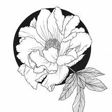 Ink Drawings. Ink Illustration, Pencil Drawing, Drawing, Botanical Illustration, Floral, and Plant Design project by Jessica Piechotta - 11.04.2023