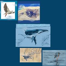 My project for course: Thematic Digital Illustration: Fragility: Endangered Wildlife on Far North Coast of NSW, Australia. Projekt z dziedziny Ilustracja c, frowa, R, sunek c, frow, Ilustracja w i dawnicza użytkownika Christine de Brenni - 31.10.2023