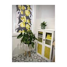 Bathroom Blind. Interior Design, Arts, Crafts, Product Design, and Vector Illustration project by Kristi Robertson - 11.05.2023
