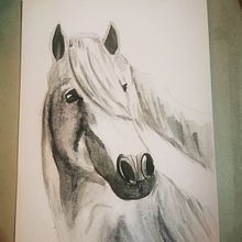 Il mio progetto del corso: Ritratti espressivi di animali ad acquerello. Un proyecto de Ilustración tradicional, Pintura a la acuarela, Dibujo realista e Ilustración naturalista				 de angelacalcaterra40 - 05.11.2023