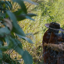 Después de Vivir un Siglo - Cápsulas (Teaser 2022). Film, Video, TV, and Video Editing project by Micaela Bazan - 11.05.2023
