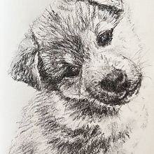Charcoal Drawing of Spencer. Projekt z dziedziny  Sztuki piękne,  R, sunek,  R, sunek atramentem, Ilustracja naturalist i czna użytkownika Diane Quee - 05.11.2023