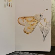 My project for course: Daily Sketching for Creative Inspiration. Traditional illustration, Sketching, Creativit, Drawing, and Sketchbook project by Karola Kruk - 11.06.2023