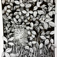 My project for course: Dip Pen and Ink Illustration: Capturing The Natural World. Projekt z dziedziny Sketching,  R, sunek,  R, sunek art, st, czn, Sketchbook,  R, sunek atramentem, Ilustracja naturalist i czna użytkownika naraerosayoo - 07.11.2023