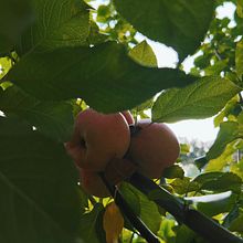 Mi proyecto del curso: Introducción a la fotografía digital. Un projet de Photographie , et Photographie numérique de bmonsalveb - 08.11.2023