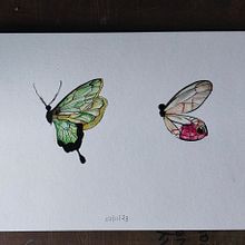 My project for course: Naturalistic Illustration in Watercolor and Gouache. Un progetto di Belle arti, Pittura, Pittura ad acquerello, Illustrazione botanica, Illustrazione naturalistica e Pittura gouache di Jomy Johnson - 08.11.2023