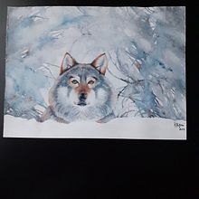 Il mio progetto del corso: Ritratti espressivi di animali ad acquerello. Un proyecto de Ilustración tradicional, Pintura a la acuarela, Dibujo realista e Ilustración naturalista				 de c.rigoni - 08.11.2023