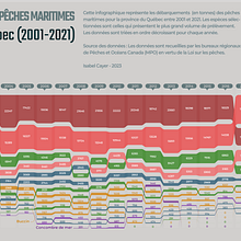 Débarquements des pêches maritimes (Québec 2001-2021) Ein Projekt aus dem Bereich Informationsdesign und Infografik von Isabel Cayer - 08.11.2023