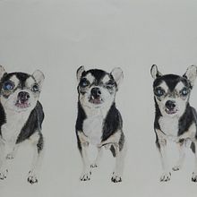 Mi proyecto del curso: Retratos de Mascotas en Lápices de Colores. Traditional illustration, and Naturalistic Illustration project by olga_carcelen - 11.09.2023