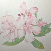 Mi Proyecto del Curso: Acuarela Botánica: Ilustra la Anatomía de las Flores. Projekt z dziedziny Trad, c, jna ilustracja,  Sztuki piękne,  Malarstwo,  R, sunek, Malowanie akwarelą, R i sunek botaniczn użytkownika Lidia López León - 09.11.2023