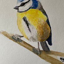 Mein Abschlussprojekt für den Kurs: Illustriere Vögel mit expressiven Aquarelltechniken. Projekt z dziedziny Trad, c, jna ilustracja, Malowanie akwarelą, R, sunek realist, czn, Ilustracja naturalist i czna użytkownika sylvia - 10.11.2023