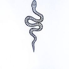 Meu projeto do curso: Técnicas de tatuagem blackwork com fine line. Tattoo Design project by João Ribeiro - 11.06.2023