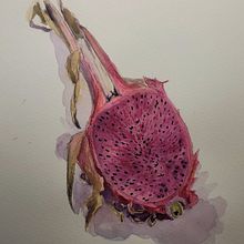 Dragonfruit botanical watercolour for course by Julia Trickey Ein Projekt aus dem Bereich Traditionelle Illustration von Molli Woodtagger - 11.11.2023