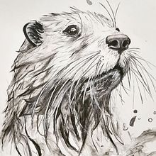 Mi proyecto del curso: Retratos expresivos de animales en acuarela Ein Projekt aus dem Bereich Traditionelle Illustration, Realistische Zeichnung, Naturalistische Illustration und Aquarellmalerei von mariajosegarciagunther - 04.11.2023