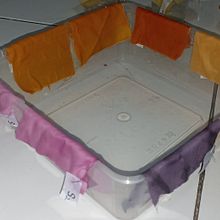 My project for course: Textile Dyeing with Natural Pigments. Artesanato, Design de moda, DIY, Tingimento têxtil, e Design têxtil projeto de Fransisca Eko Dewiyanti - 10.11.2023