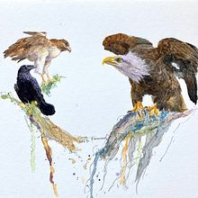 Face off:  by Tina Kennedy.       My project for course: Artistic Watercolor Techniques for Illustrating Birds. Traditional illustration, Watercolor Painting, Realistic Drawing, Naturalistic Illustration, and SEO project by Tina Kennedy - 11.13.2023