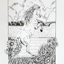 Il mio progetto del corso: Illustrazione con inchiostro e pennino: rappresenta la natura. Sketching, Drawing, Artistic Drawing, Sketchbook, Ink Illustration, and Naturalistic Illustration project by Claudia Foroni - 11.13.2023