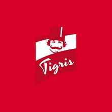 Tigris · Web design · Branding. Un projet de Design , Publicité, UX / UI, Br, ing et identité, Design graphique, Webdesign, Développement web, Cop, writing, Photographie publicitaire , et E-commerce de Jesús Gil Romero - 13.11.2023