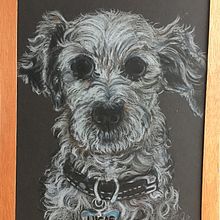 “LUCAS”. Een project van  Tekening van Gabriela Ríos Oviedo - 13.11.2023