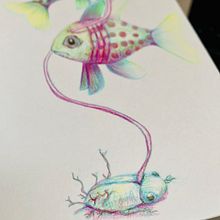 My project for course: Surrealist Illustration Inspired by Nature. Traditional illustration, Pencil Drawing, Drawing, Artistic Drawing, Naturalistic Illustration, and Colored Pencil Drawing project by Yuko Okuya - 11.14.2023