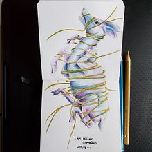 Mon projet du cours : Illustration surréaliste inspirée par la nature Ein Projekt aus dem Bereich Traditionelle Illustration, Bleistiftzeichnung, Zeichnung, Artistische Zeichnung, Naturalistische Illustration und Zeichnen mit Buntstiften von Marie Bertin - 15.11.2023