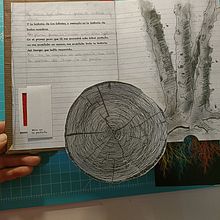 Il mio progetto del corso: Libri pop-up interattivi: crea mondi paralleli con la carta. Arts, Crafts, Editorial Design, Paper Craft, Bookbinding, and Creating with Kids project by Angela - 11.17.2023