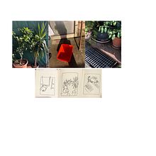 Il mio progetto del corso: Creatività per principianti livello -1. Projekt z dziedziny Fotografia,  Kolaż, Kreat, wność,  R i sunek użytkownika marieclairer - 18.11.2023