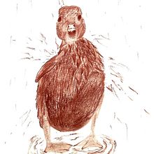 TEG- referent a sanguina. Drawing project by Laura Cortés - 11.19.2023