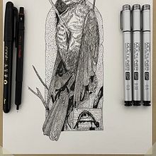 Mi proyecto del curso: Ilustración realista de pájaros con elementos creativos. Projekt z dziedziny  R, sunek atramentem, Ilustracja naturalist, czna, R, sunek ołówkiem,  R i sunek użytkownika Kin Ruiz - 17.11.2023