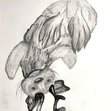 DA - Animal fantàstic. Naturalistic Illustration, and Pencil Drawing project by Naila Adrover - 11.20.2023