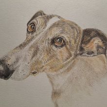 Mi proyecto del curso: Retratos de Mascotas en Lápices de Colores. Traditional illustration, and Naturalistic Illustration project by yolandajulia - 11.21.2023