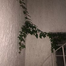 Adorno en muro patio Ein Projekt aus dem Bereich Fotografie von Óscar Gilberto De la cruz garcia - 22.11.2023