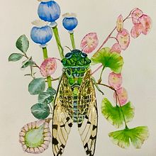 My project for course: Botanical Watercolor Painting of the Natural World Ein Projekt aus dem Bereich Bildende Künste, Malerei, Aquarellmalerei, Botanische Illustration und Naturalistische Illustration von Reni Gordon - 18.11.2023