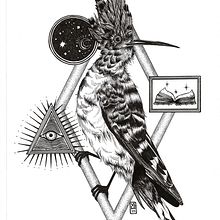 My project for course: Realistic Illustration of Birds with Imaginative Elements. Pencil Drawing, Drawing, Ink Illustration, and Naturalistic Illustration project by Valentina Tassini - 11.22.2023