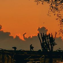 Mi proyecto del curso: Composición y edición fotográfica para Instagram. Un progetto di Fotografia, Social media, Fotografia con smartphone, Instagram, Fotografia per Instagram e Composizione fotografica di José Ricardo Lara Velázquez - 22.11.2023