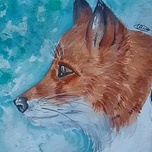 Il mio progetto del corso: Ritratti espressivi di animali ad acquerello. Un progetto di Illustrazione tradizionale, Pittura ad acquerello, Disegno realistico e Illustrazione naturalistica di Antonio Maiorelli - 23.11.2023