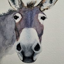 Il mio progetto del corso: Ritratti espressivi di animali ad acquerello. Un proyecto de Ilustración tradicional, Pintura a la acuarela, Dibujo realista e Ilustración naturalista				 de Antonio Balzarini - 24.11.2023