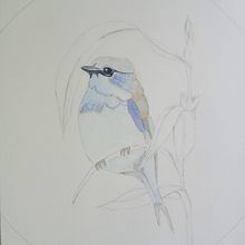 Mi proyecto del curso: Acuarela con detalles en filigrana y toques metálicos. Un progetto di Illustrazione tradizionale, Pittura, Pittura ad acquerello, Illustrazione botanica, Illustrazione naturalistica e Pittura decorativa di Sandra Platero - 24.11.2023