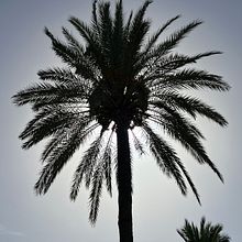 Memorias de noviembre . Mobile Photograph project by Diana - 11.25.2023