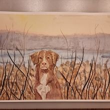 Mein Abschlussprojekt für den Kurs: Ausdrucksstarke Tierporträts in Aquarell. Projekt z dziedziny Trad, c, jna ilustracja, Malowanie akwarelą, R, sunek realist i czn użytkownika marycherry - 25.11.2023
