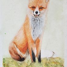Meu projeto do curso: Retratos expressivos de animais em aquarela. Traditional illustration, Watercolor Painting, Realistic Drawing, and Naturalistic Illustration project by Priscila Freitas - 11.22.2022