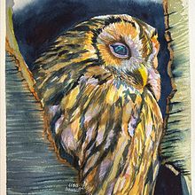 My project for course: Expressive Animal Portraits in Watercolor. Traditional illustration, Watercolor Painting, Realistic Drawing, and Naturalistic Illustration project by Lisa Bennett - 11.23.2023