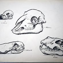 Mi proyecto del curso: Sketching diario como inspiración creativa. Projekt z dziedziny Trad, c, jna ilustracja, Sketching, Kreat, wność,  R, sunek i Sketchbook użytkownika Cristián Opazo - 26.11.2023