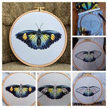 Euphaedra themis. Arts, Crafts, and Embroider project by sa_mar - 07.13.2023