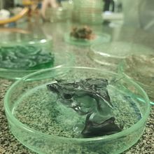 Mi proyecto del curso: Biomateriales: creación de materiales con descartes orgánicos. Arts, Crafts, and DIY project by María José Logreira Jiménez - 11.28.2023