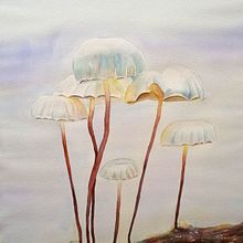 Acuarela . Projekt z dziedziny Trad, c, jna ilustracja,  Sztuki piękne, R i sunek botaniczn użytkownika Diana Sobrado - 28.11.2023