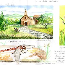 Il mio progetto del corso: Diario di viaggio ad acquerello. Un proyecto de Ilustración tradicional, Pintura a la acuarela, Ilustración arquitectónica y Sketchbook de Loredana Atzei - 28.11.2023