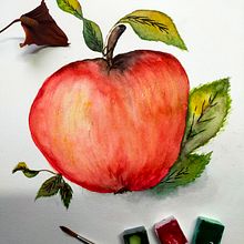 Mon projet du cours : Aquarelle botanique : illustrez l’anatomie des fleurs. Traditional illustration, Fine Arts, Painting, Drawing, Watercolor Painting, and Botanical Illustration project by Hélène Scoarnec - 11.30.2023