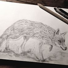 My project for course: Naturalistic Animal Drawing with Graphite Pencil. Traditional illustration, Pencil Drawing, Drawing, and Naturalistic Illustration project by eluned_eleven - 11.30.2023