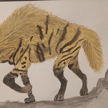 My project for course: Scientific Illustration of Animals in Watercolor : Hyaena Hyaena. Traditional illustration, Watercolor Painting, Realistic Drawing, and Naturalistic Illustration project by Huzeyfe Alışkan - 10.30.2023